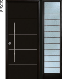 Puerta de seguridad con incrustaciones de acero inoxidable modelo Piscis acabado negro con fijo lateral derecho, de barrotes acero inoxidable.