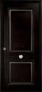 Puerta de seguridad modelo Recto acabado negro.